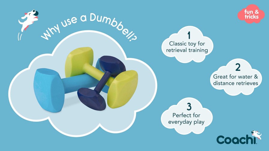 Perros Coachi Apports | Coachi Dumbbell Peque O Pesa Para Entrenamiento Perros