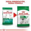 Perros Royal Canin Pienso | Royal Canin Mini Adult 8+ Pienso Para Perro S Nior De Razas Tama O Peque A