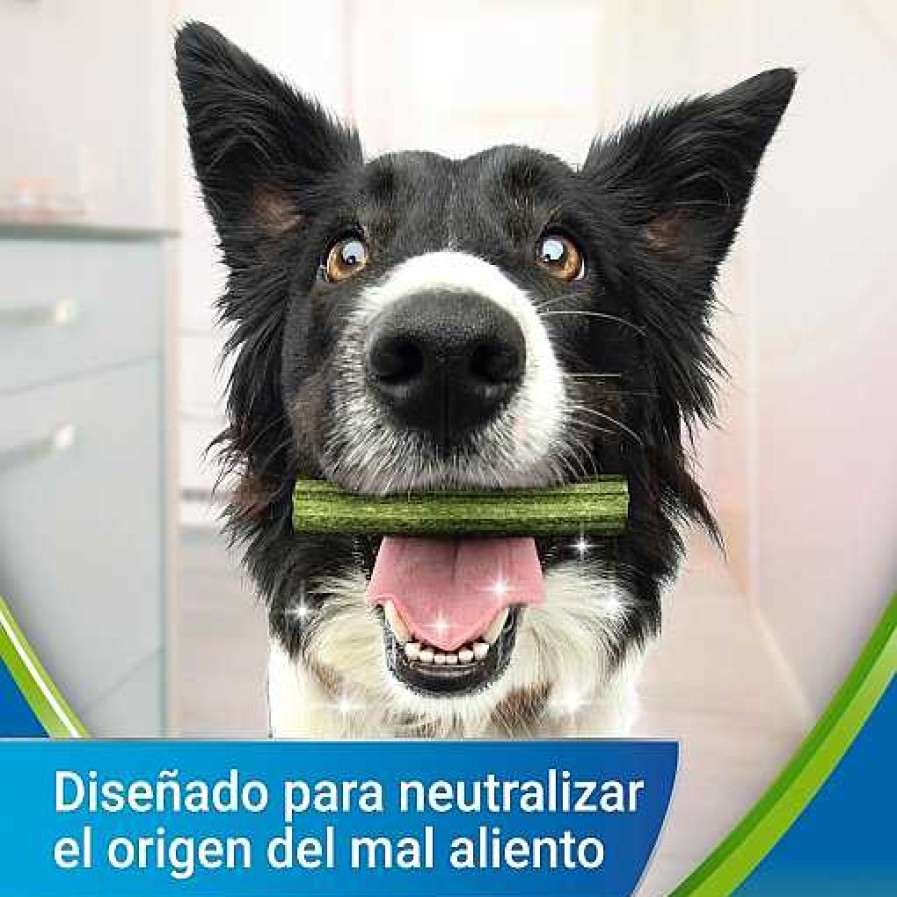 Perros Dentalife Higiene Dental | Dentalife Sticks Activfresh Para Perros Con Espirulina Y Miel