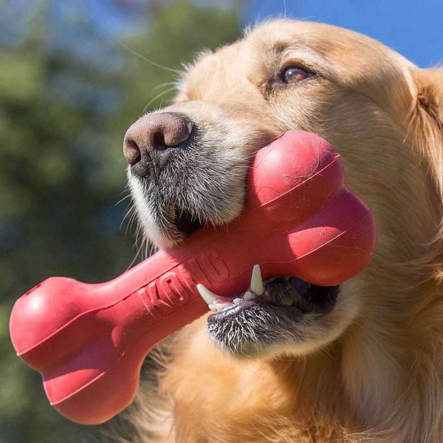 Perros KONG De Inteligencia E Interactivos | Kong Goodie Bone Mordedor Hueso De Goma Rojo