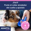 Perros Adaptil Comportamiento | Adaptil Collar Junior Antiestr S