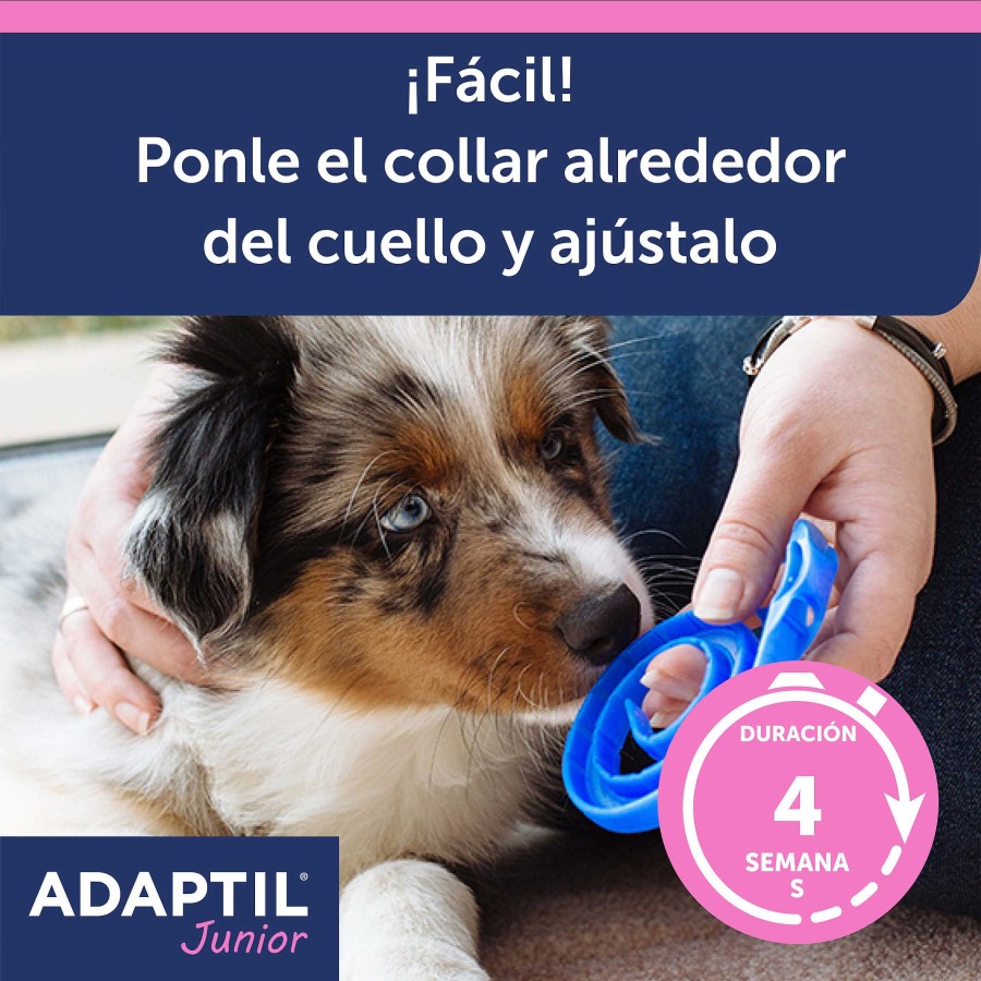 Perros Adaptil Comportamiento | Adaptil Collar Junior Antiestr S