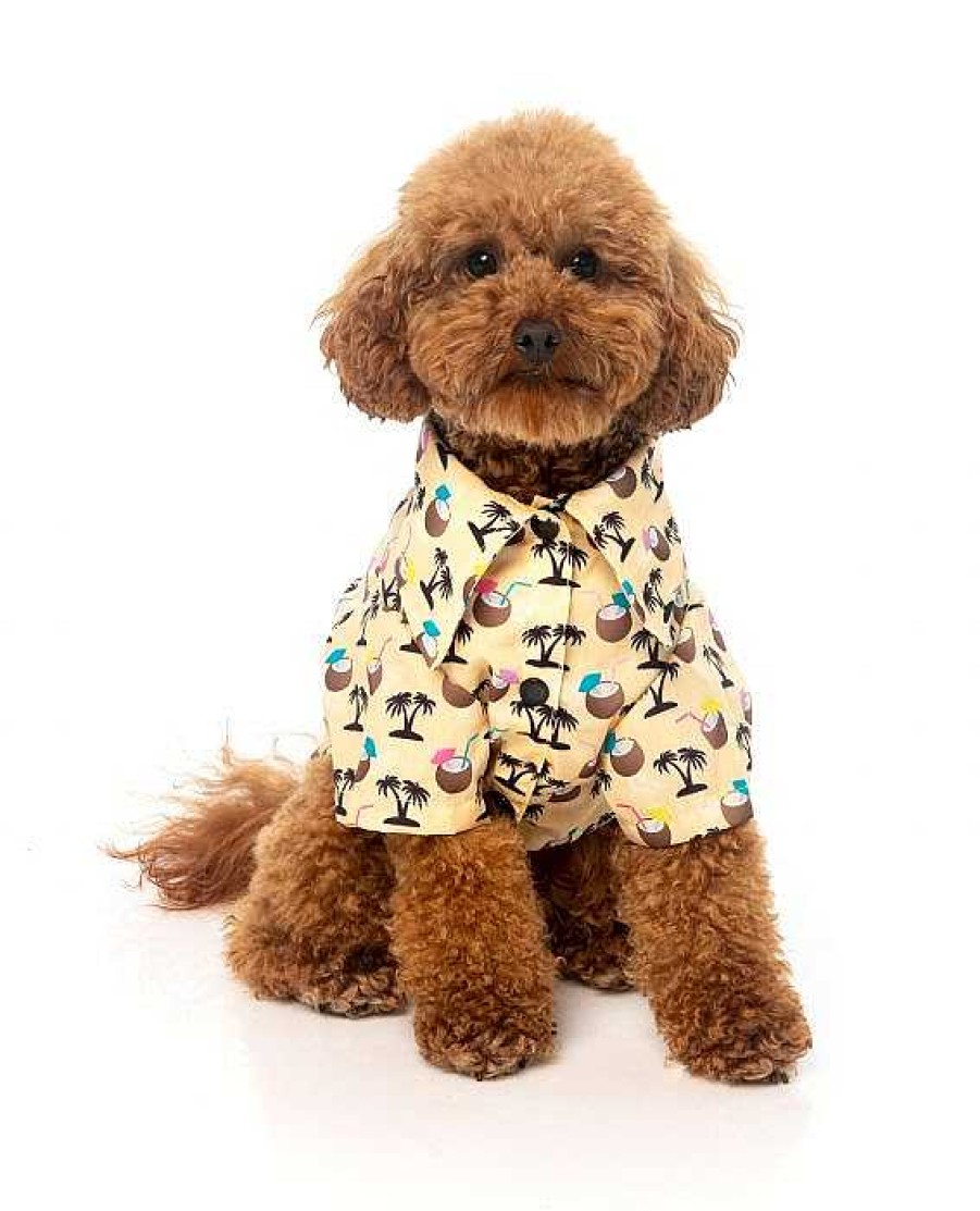 Perros FuzzYard Camisetas | Fuzzyard Camiseta Hawaiana Sandy Coconut Para Perros