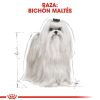 Perros Royal Canin Pienso | Royal Canin Maltese Adult Pienso Para Bich N Malt S