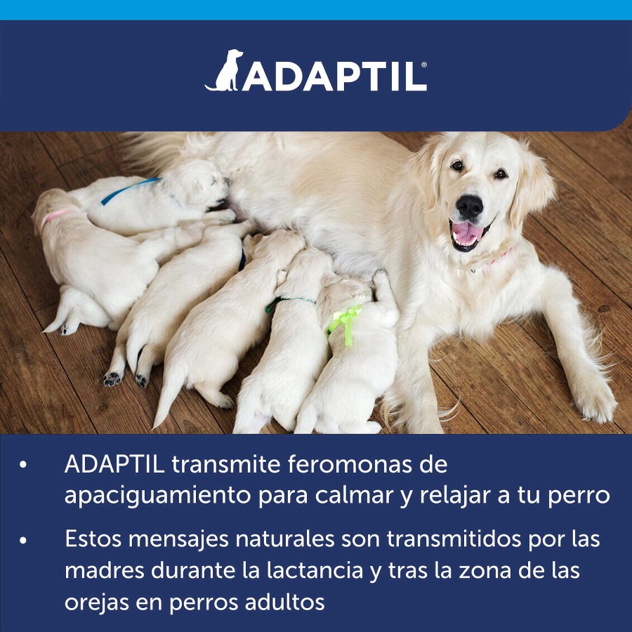 Perros Adaptil Comportamiento | Adaptil Calm Difusor El Ctrico+ Recambio Antiestr S