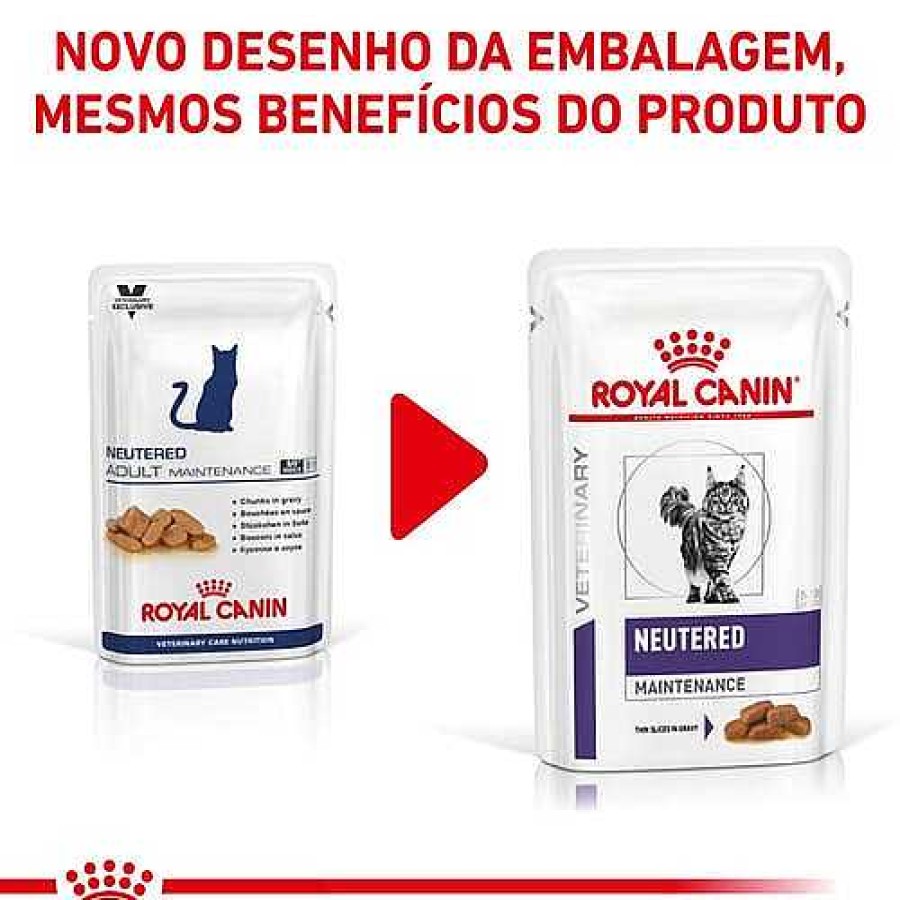 Gatos Royal Canin Dieta Veterinaria | Royal Canin Comida H Meda Neutered Maintenance Feline