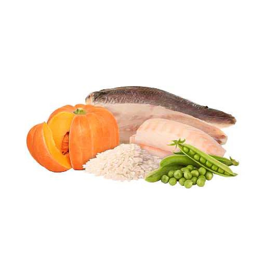 Perros Hantu Comida H Meda | Hantu Comida H Meda Ocean Fish Con Calabaza Y Guisantes Para Perros Adultos