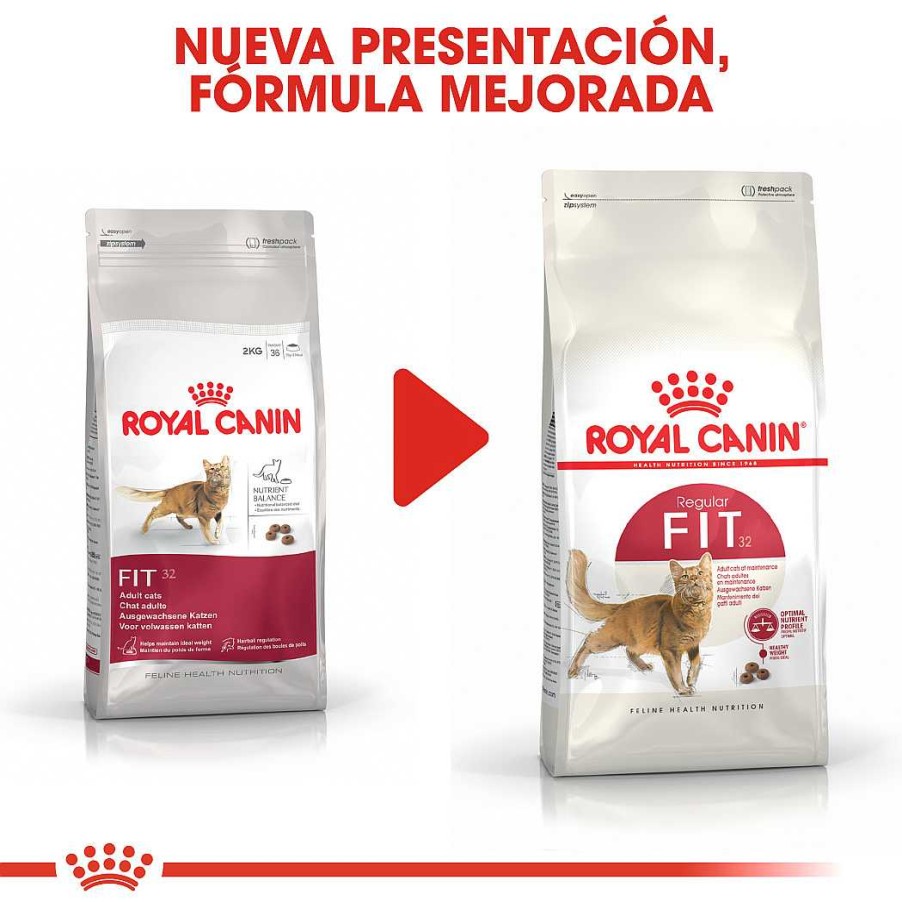 Gatos Royal Canin Pienso | Royal Canin Fit 32 Pienso Para Gato Adulto