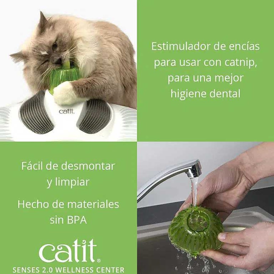 Gatos Catit Rascadores | Catit Centro De Masajes 2.0