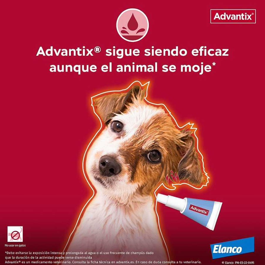 Perros Advantix Pipetas | Advantix Pipetas Spot On Para Perro De M S De 25 Kg