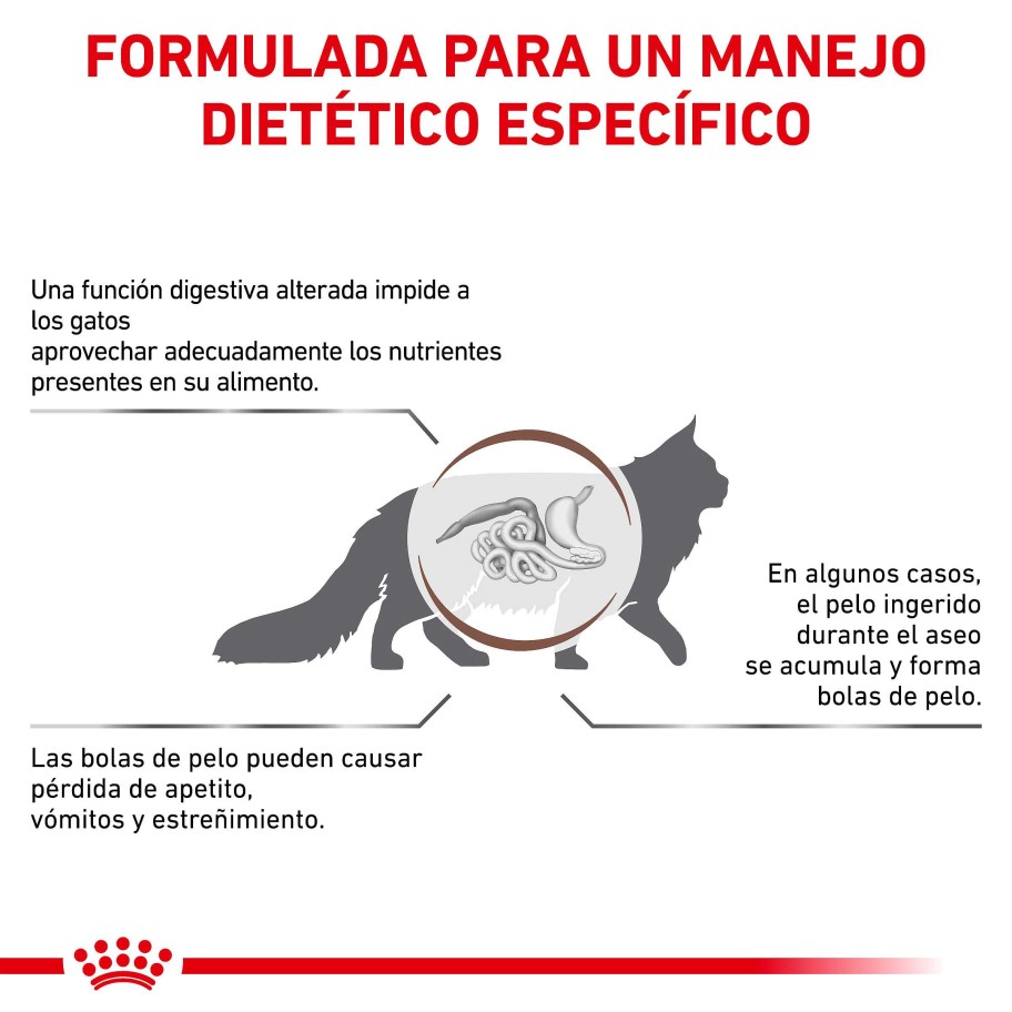 Gatos Royal Canin Pienso | Royal Canin Gastrointestinal Hairball Feline