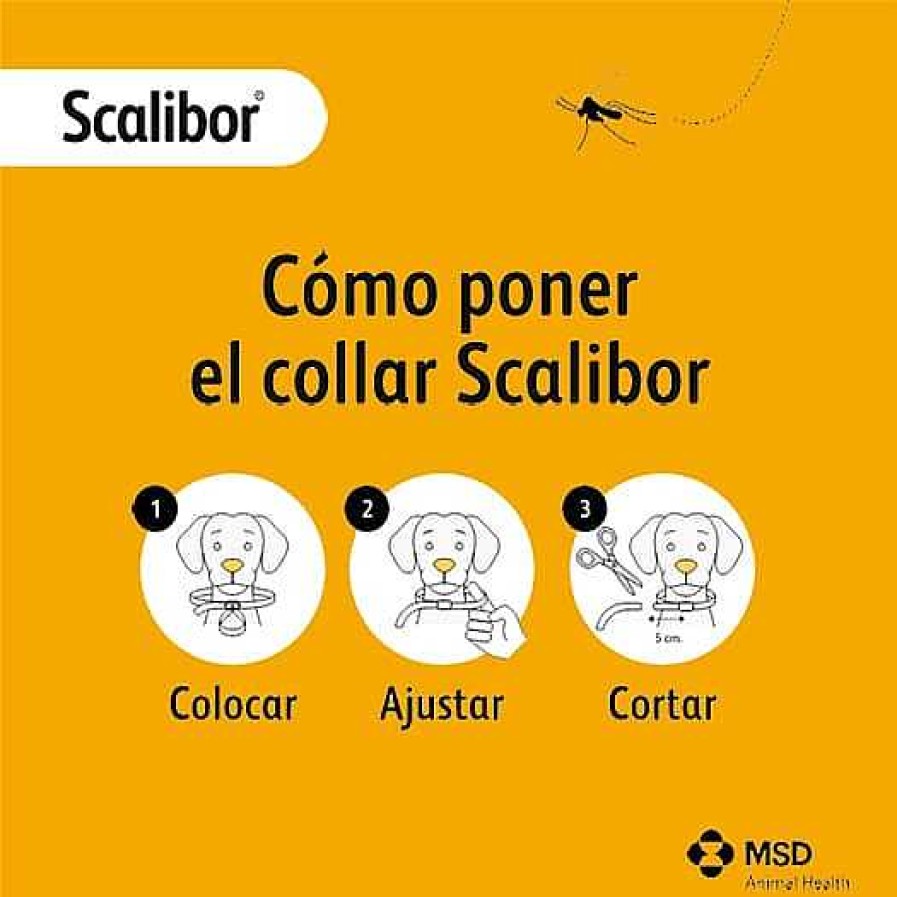 Perros Scalibor Collares | Scalibor Collar Antiparasitario Para Perros