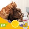 Perros Beaphar Higiene Auricular | Beaphar Bio Leche Limpiadora De Oidos Para Perros Y Gatos