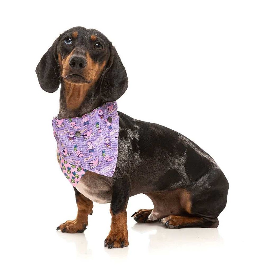 Perros FuzzYard Complementos | Fuzzyard Bandana Aloha Dolphins Para Perros