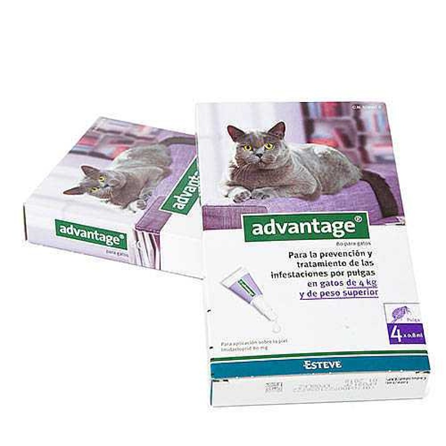 Gatos Advantage Pipetas | Advantage Pipetas Para Gatos +4 Kg (80Ml)