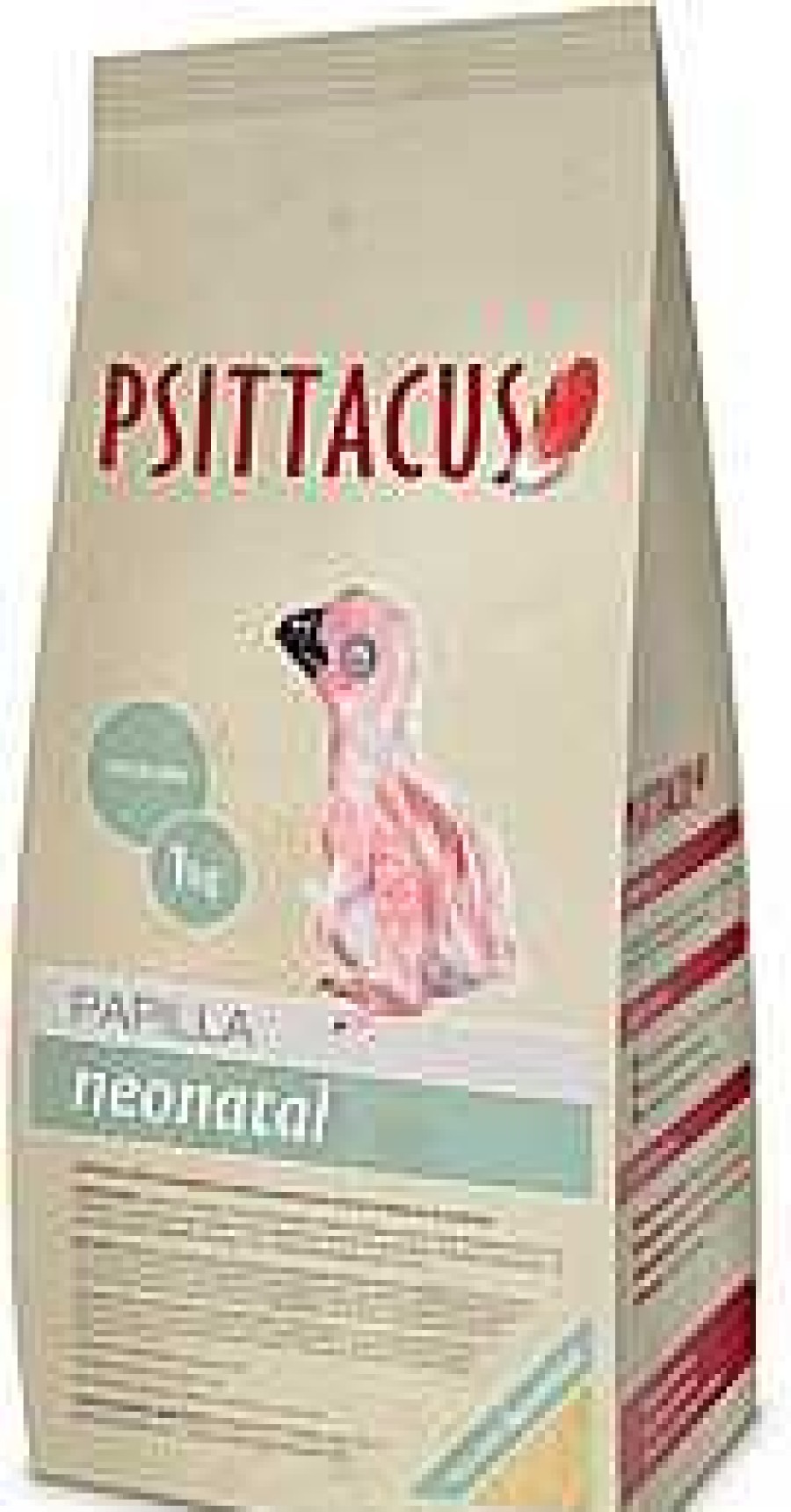 P Jaros Psittacus | Psittacus Papilla Neonatal