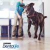 Perros Dentalife Higiene Dental | Dentalife Snack Para El Cuidado Bucodental En Perros Grandes De 25 A 40 Kg