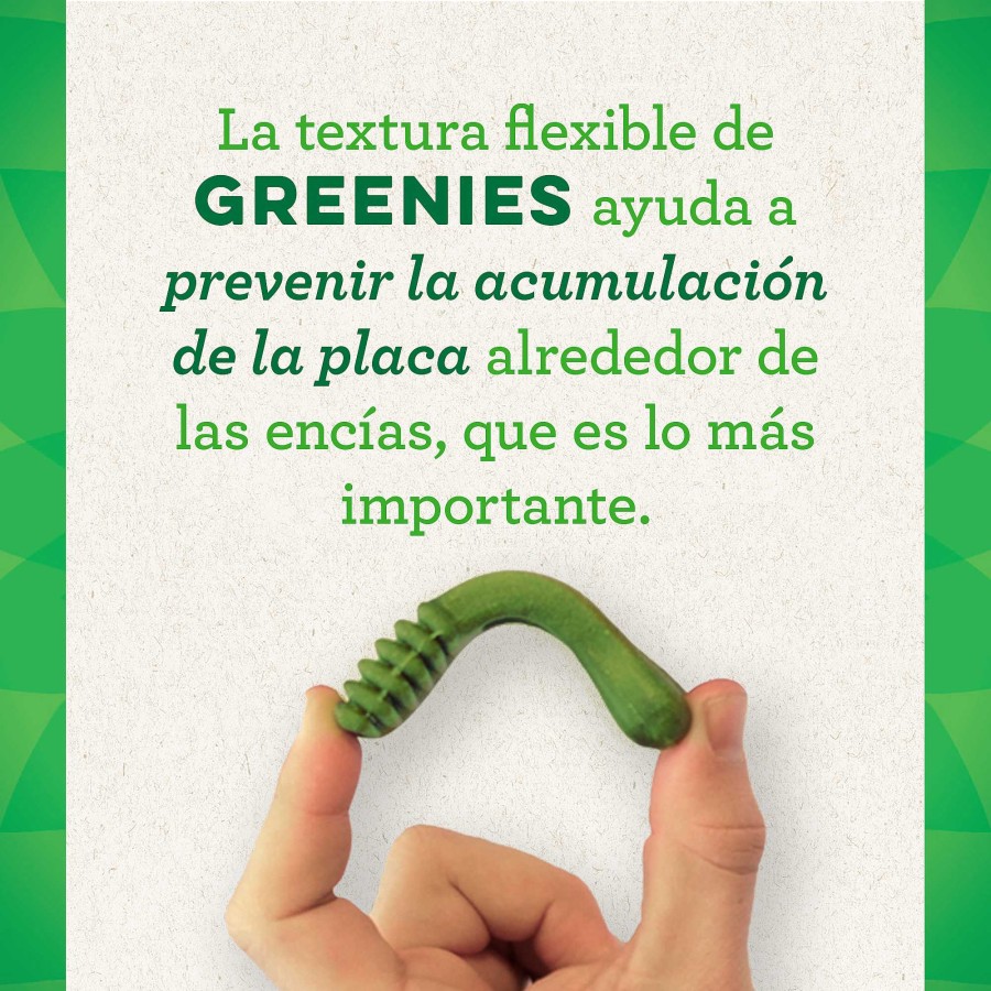 Perros Greenies Higiene Dental | Greenies Snack Dental Natural Para Perros Medianos