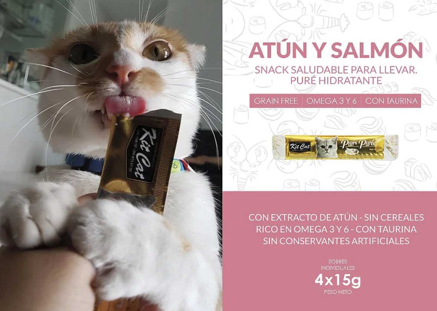 Gatos Kit Cat Semi-H Medos | Kit Cat Snack Purrpur E Con At N Y Salm N