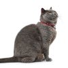 Gatos Hunter Collares | Hunter Collar Para Gato Flashlight El Stico Rojo