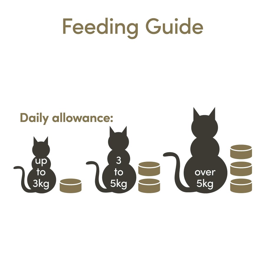 Gatos Applaws Comida H Meda | Applaws Comida H Meda Para Gatos Con Filete De At N