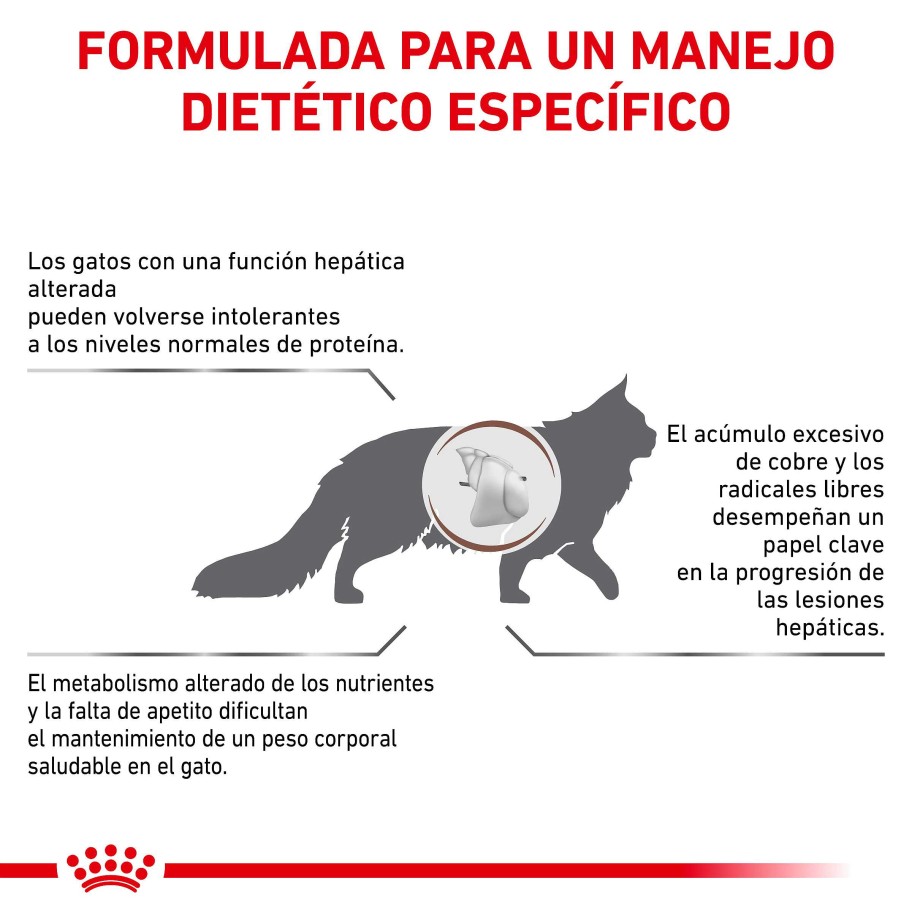 Gatos Royal Canin Pienso | Royal Canin Pienso Hepatic Para Gatos