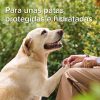 Perros Beaphar Cuidados De Las Patas | Beaphar Spray Protector De Almohadillas