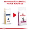 Gatos Royal Canin Pienso | Royal Canin Pienso Renal Para Gatos