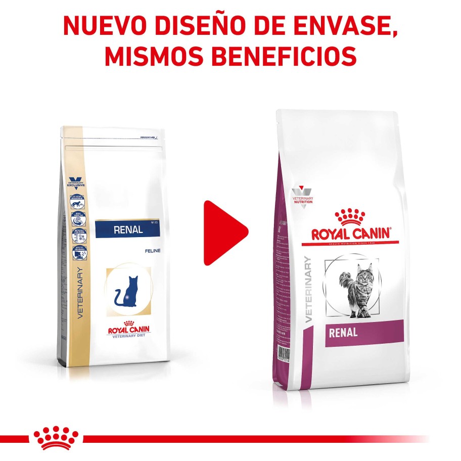 Gatos Royal Canin Pienso | Royal Canin Pienso Renal Para Gatos