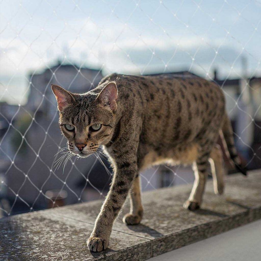 Gatos Duvo Plus | Duvo Plus Red De Seguridad En Balcones Para Gatos