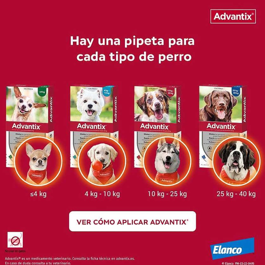 Perros Advantix Pipetas | Advantix Pipetas Spot On Para Perro De 4-10 Kg