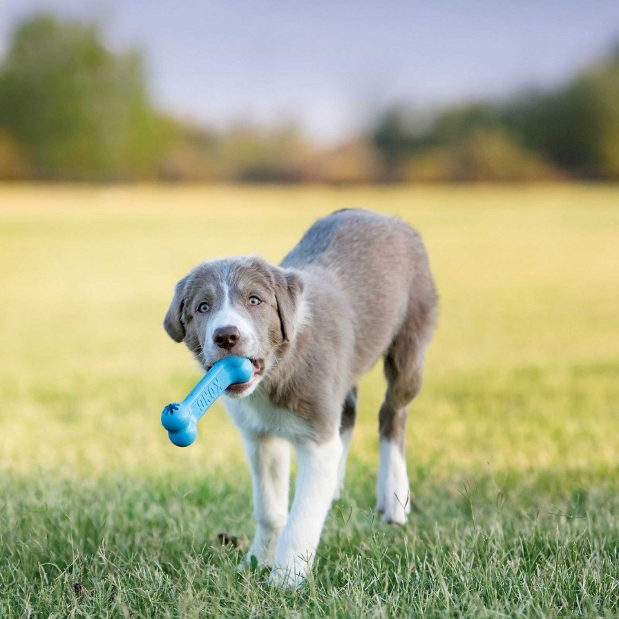 Perros KONG De Inteligencia E Interactivos | Kong Puppy Goodie Bone Hueso Rellenable Para Cachorros