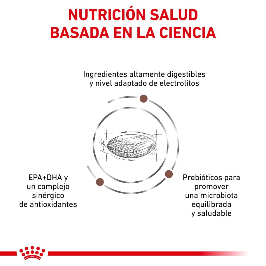 Perros Royal Canin Pienso | Royal Canin Pienso Gastrointestinal Low Fat 22 Para Perro