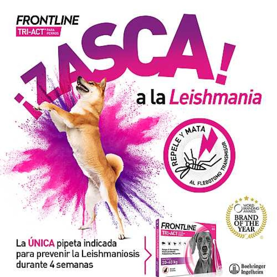 Perros Frontline Pipetas | Frontline Pipetas Tri-Act Soluci N Spot-On Para Perros De 20-40 Kg