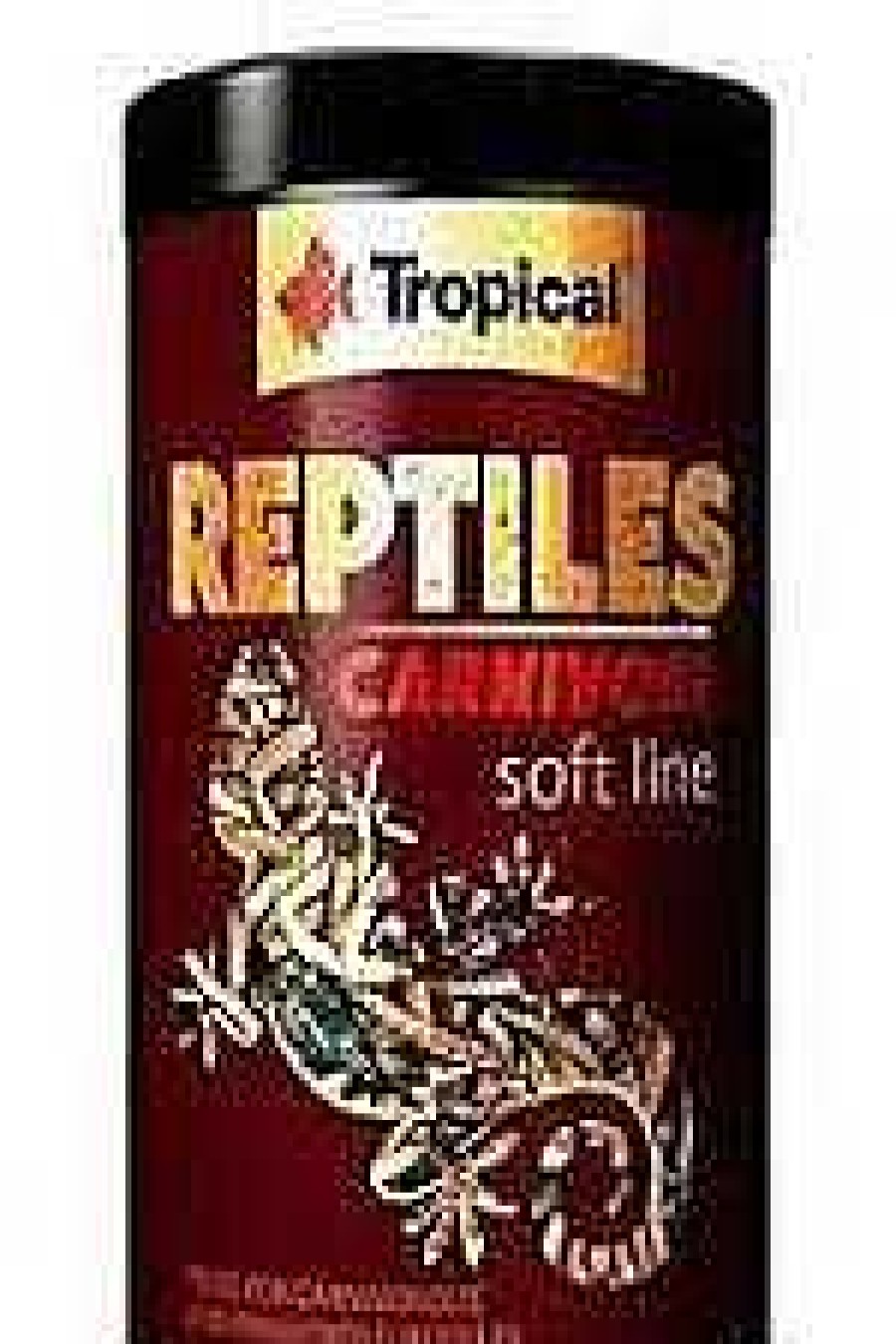 Reptiles Tropical | Tropical Reptil Soft Carnivoros