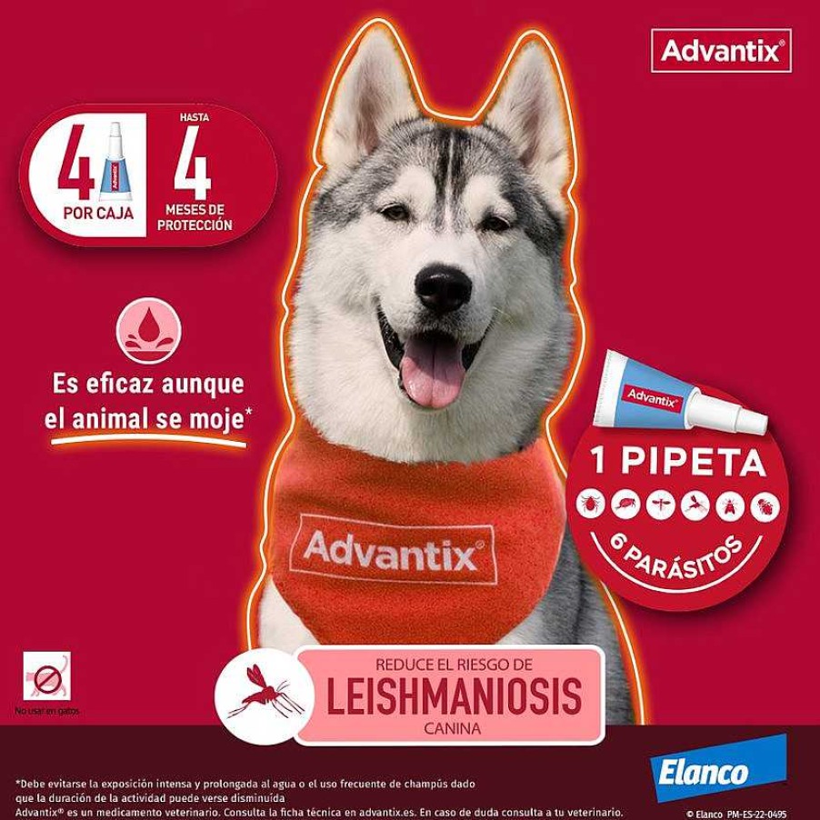 Perros Advantix Pipetas | Advantix Pipetas Spot On Para Perro De M S De 25 Kg