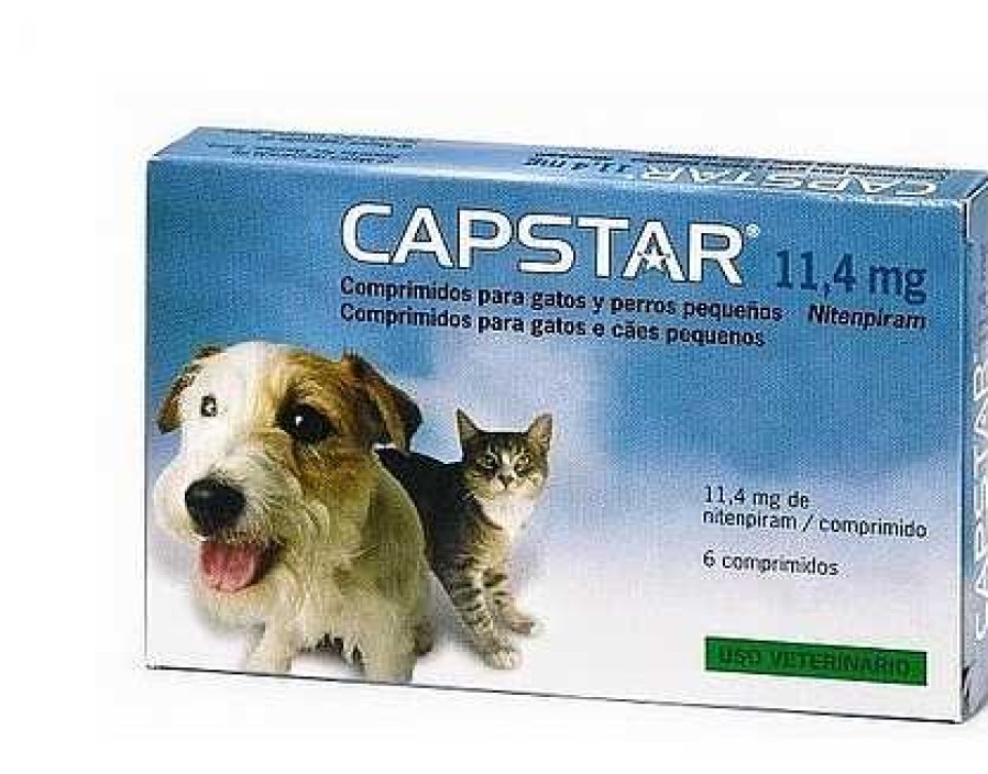 Gatos Elanco Internos | Elanco Capstar Comprimidos Para Gatos Y Perros Peque Os (11,4 Mg)