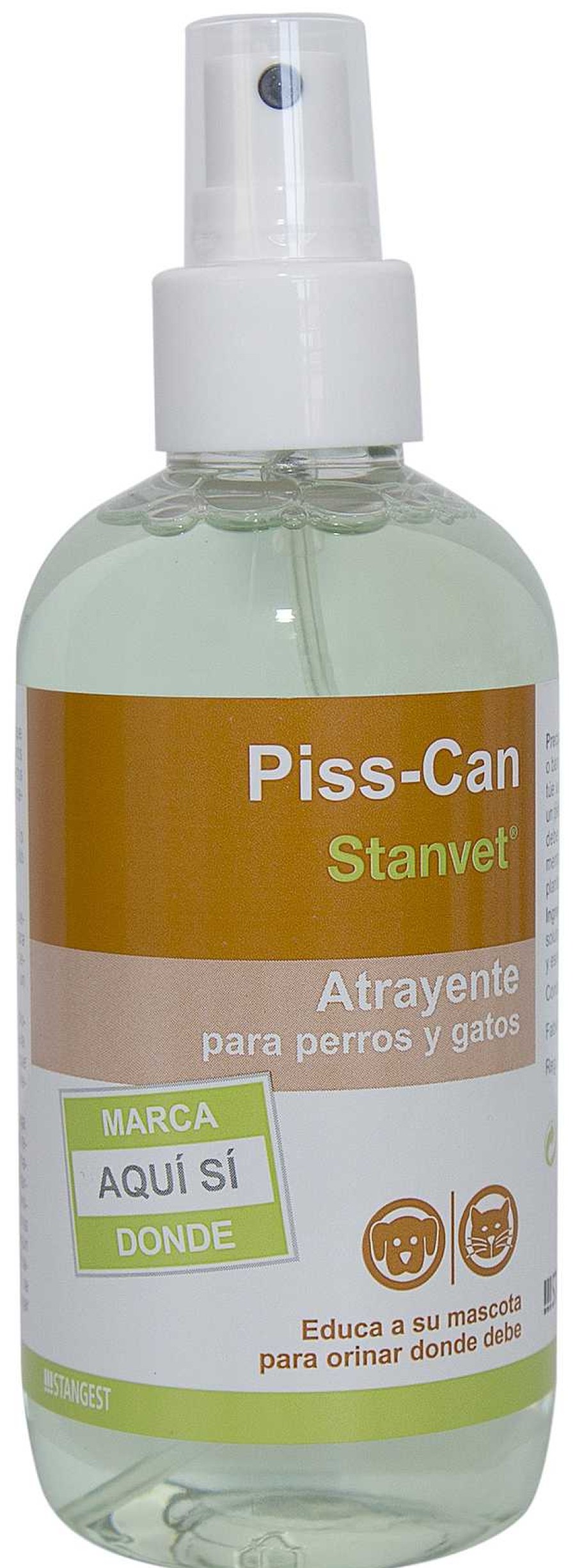 Gatos Stangest Atrayentes | Stangest Piss-Can