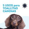 Gatos SUMSU Limpieza Y Desinfecci N | Sumsu Toallitas H Medas Con Clorhexidina Para Perros Y Gatos