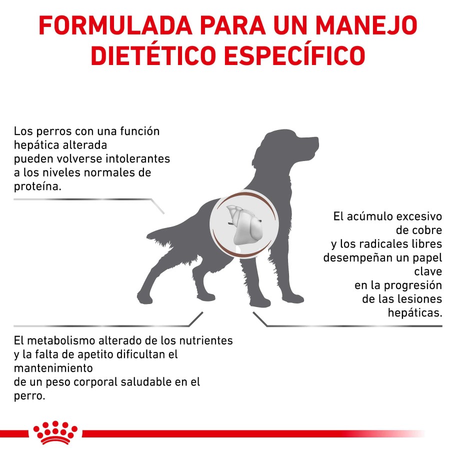 Perros Royal Canin Pienso | Royal Canin Pienso Hepatic Hf16 Canine