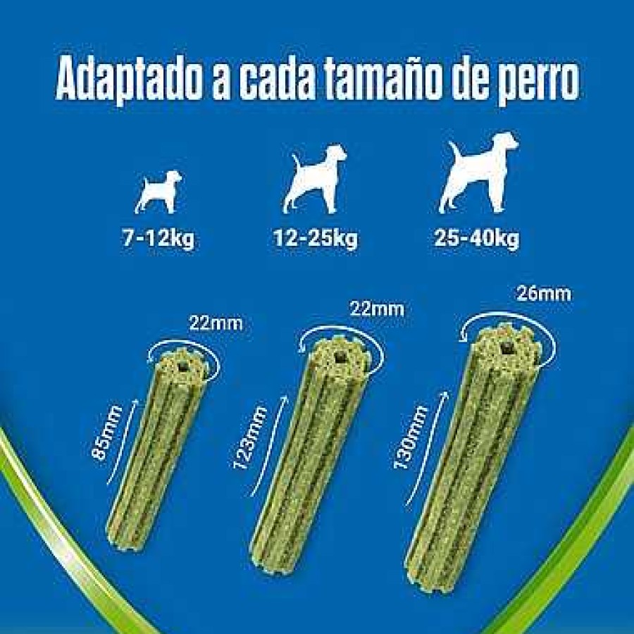 Perros Dentalife Higiene Dental | Dentalife Sticks Activfresh Para Perros Con Espirulina Y Miel