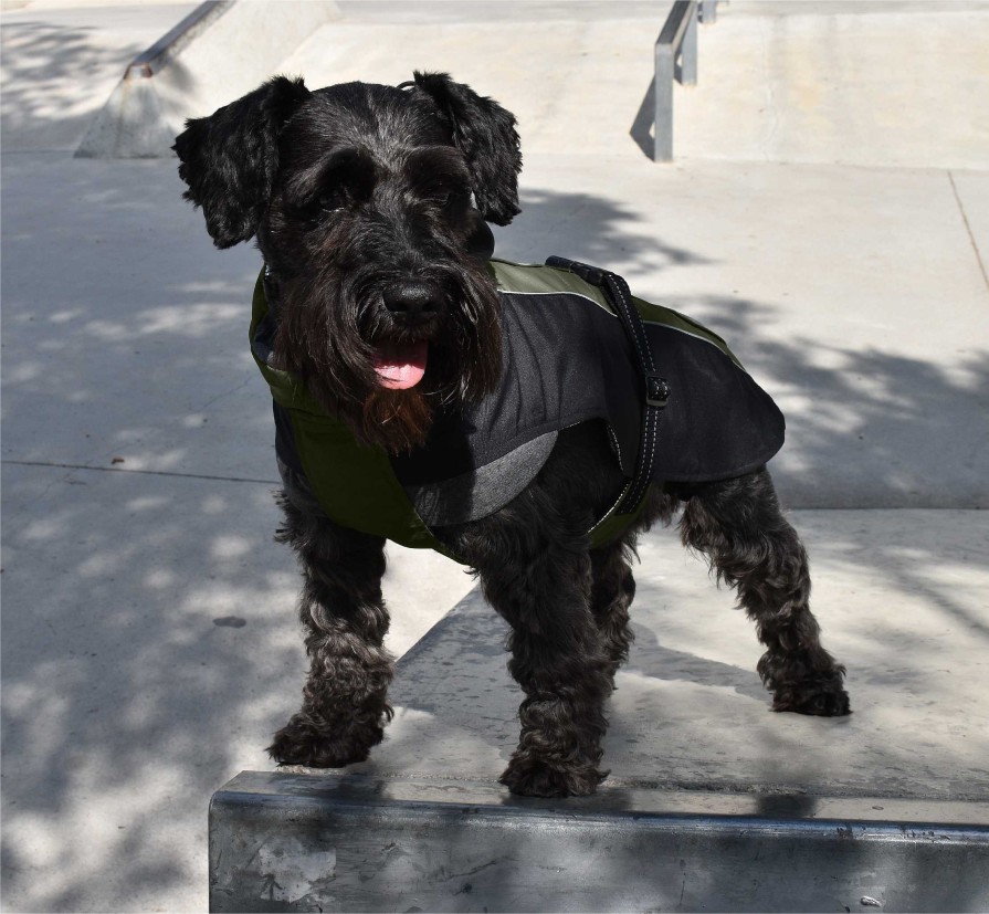 Perros Nayeco Chubasqueros | Nayeco Impermeable Hiking Verde Para Perro