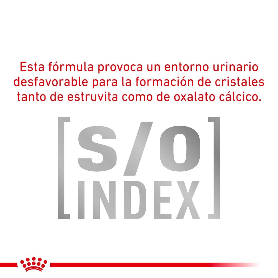 Perros Royal Canin Pienso | Royal Canin Pienso Satiety Para Perros De Raza Peque A