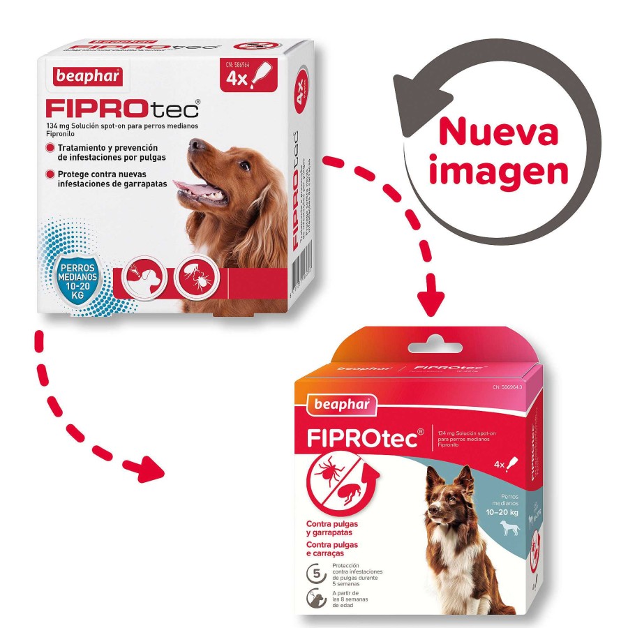 Perros Beaphar Pipetas | Beaphar Fiprotec Pipeta Spot-On Para Perros De 10-20 Kg (134Mg)