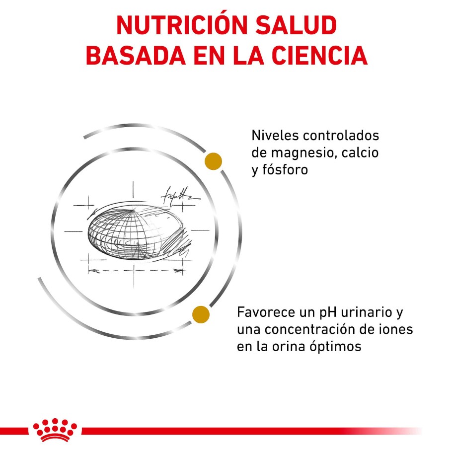 Gatos Royal Canin Pienso | Royal Canin Pienso Urinary S/O Para Gato