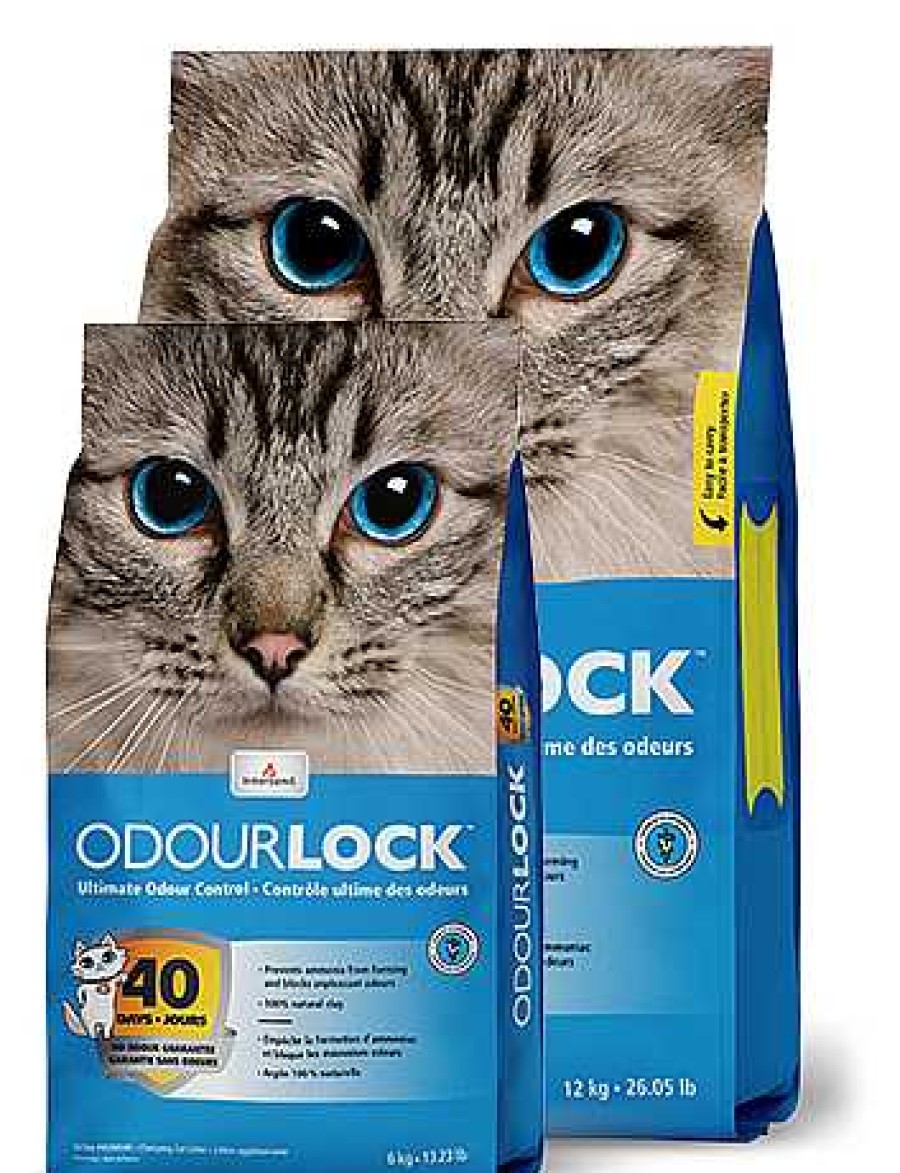 Gatos Intersand Arenas | Intersand Arena Aglomerante Odourlock