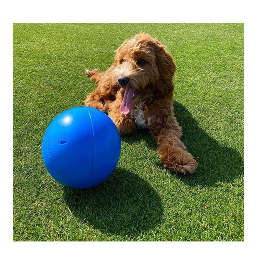 Perros The Company Of Animals Pelotas | The Company Of Animals Boomer Ball Pelota Para Perro Indestructible