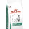 Perros Royal Canin Pienso | Royal Canin Pienso Satiety Weight Management Canine