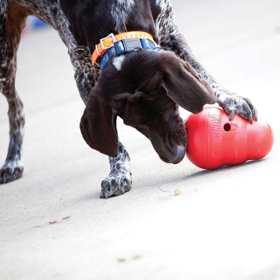 Perros KONG De Inteligencia E Interactivos | Kong Dispensador De Golosinas Wobbler Para Perro