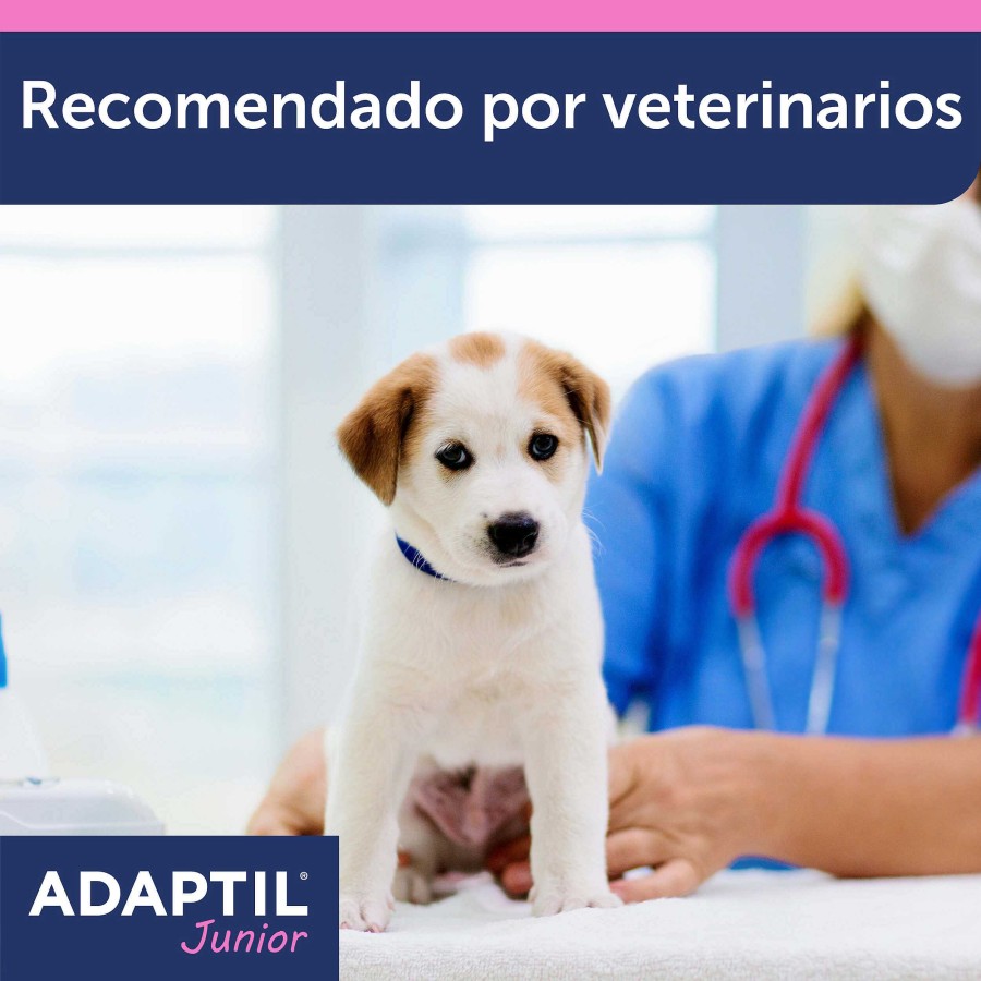 Perros Adaptil Comportamiento | Adaptil Collar Junior Antiestr S